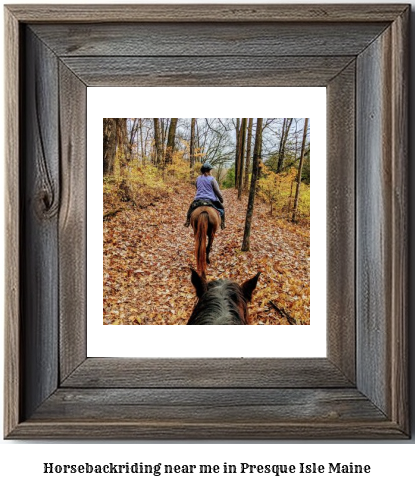 horseback riding near me in Presque Isle, Maine